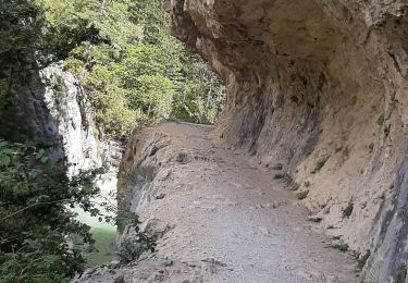 Trail Walking Estoublon - TREVANS,  Chateau de Trevans,  les Beluguettes. Cotes Chaudes , Belvédère des  Gorges  , Turquet ,o quet  - Photo