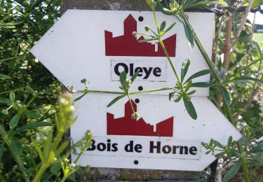 Tour Wandern Waremme - OLEYE- BOIS DE HORNE - Photo