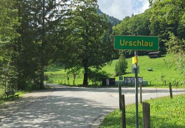 Percorso A piedi Ruhpolding - Rundweg Gründberg - Photo