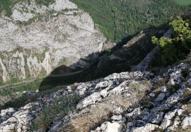 Trail Walking Saou - le petit et grand pommerol - Photo