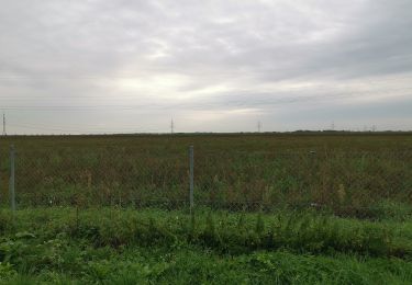 Percorso A piedi Oberschleißheim - Heidepfad - Mallertshofer Holz - Photo