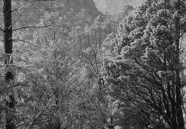 Randonnée Marche Solaro - rando aller et retour vers Bavella - Photo