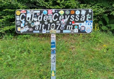 Tocht Stappen Ceyssat - Tour Puy Dôme  - Photo