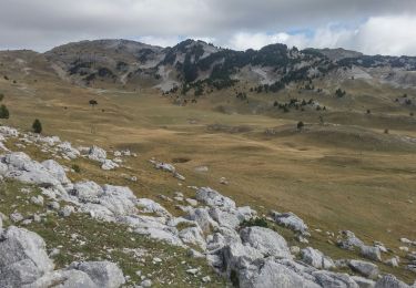 Tocht Stappen Saint-Agnan-en-Vercors - carrieres romaines - Photo