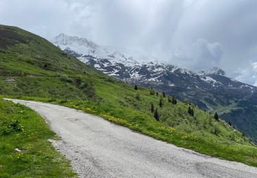 Randonnée Marche Vaujany - Sabot cochette enneigée  - Photo