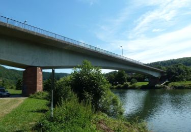 Tocht Te voet Neunkirchen - Neckarkatzenbach-Weg - Photo