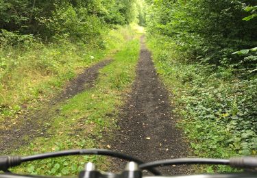 Percorso Bici ibrida Florennes - Florennes-Bois de Fraire- St Aubin-Florennes - Photo