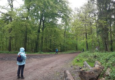 Excursión Senderismo Namur - Béez adeps - Photo