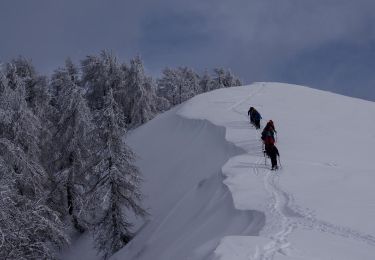 Randonnée Raquettes à neige La Bollène-Vésubie - Col de Turini a la pointe des 3 communes - Photo