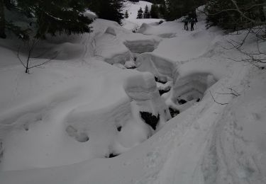 Randonnée Ski de randonnée Bellevaux - COMBE SUSPENDUE - Photo