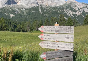 Trail Walking Prags - Braies - J4 Refuge Biella  - Photo