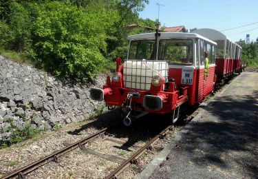 Percorso A piedi Nérac - Mézin, vers Nérac, avec le petit train touristique 19.6 km - Photo