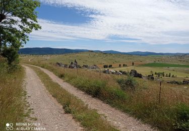 Tour Wandern Fraissinet-de-Fourques - 48  sommet du Gargo 13/07/24 - Photo