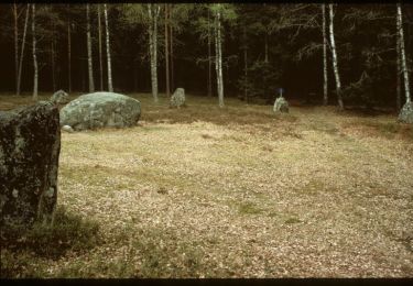 Tocht Te voet  - Galärleden - Photo