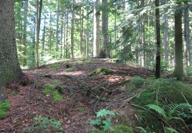 Randonnée A pied Ligist - Wanderweg 23 - Photo