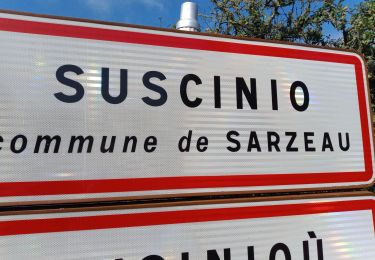 Tour Wandern Sarzeau - SARZEAU (Suscinio) - Photo