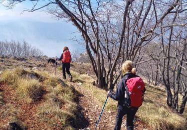 Tour Wandern Peille - Cime de Baudon - Photo