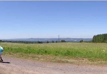 Tocht Stappen Saint-Ours - Puy Chopine et des Gouttes  - Photo