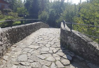 Randonnée A pied Bagno di Romagna - IT-149 - Photo