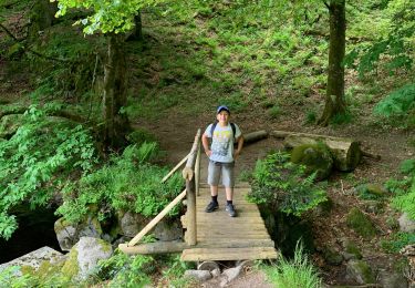 Randonnée Marche Mittlach - Lac altenweiher - Photo