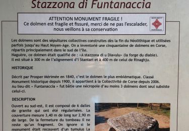 Excursión Senderismo Sartène - 20210615 site préhistorique de Cauria - Photo