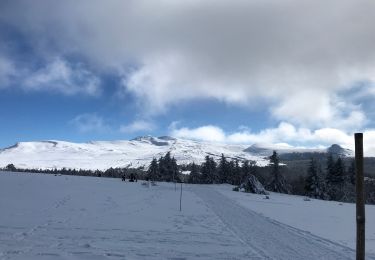 Tocht Stappen La Tour-d'Auvergne - La stèle - Chastraix raquetttes - Photo