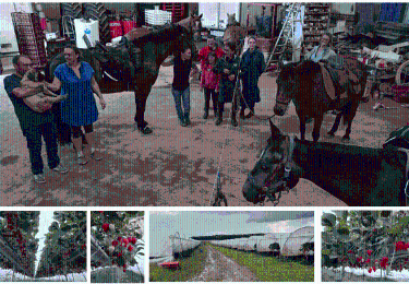 Tocht Paardrijden Saint-Mars-Vieux-Maisons - Moncouvent-La_Ville_Aux_Bois via Beton-Bazoches(vs2) - Photo