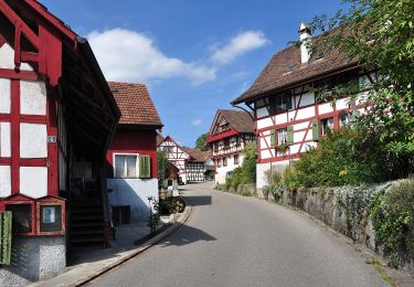 Randonnée A pied Hochfelden - Hochfelden - Glattfelden - Photo