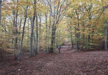 Tour Wandern Cruis - cruis . les 3 jas - Photo