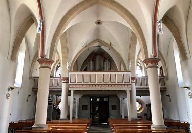 Tocht Te voet Engelskirchen - Ründeroth Rundweg U - Photo