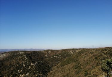 Trail Walking Larnas - larnas pierrot - Photo