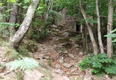 Trail Walking Val-d'Aigoual - Cascade d'Orgon-15-06-22 - Photo