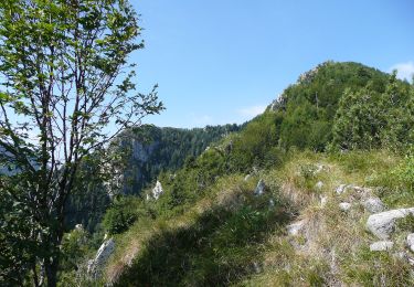Trail On foot Bagolino - Bagolino (Ponte di Selva) - Monte Pizza - Photo