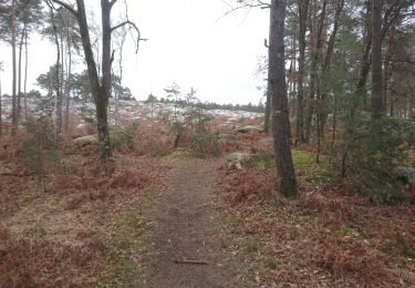 Trail Walking Arbonne-la-Forêt - arbonne-chanfroy 7 mars 2023  - Photo