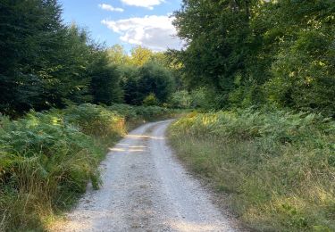 Trail Walking Neurey-en-Vaux - Autour de Neurey en vaux ( idéal en été )  - Photo