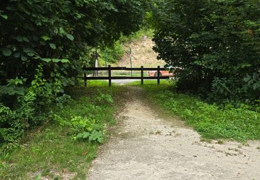 Tocht Stappen Saint-Hilaire - Saint-Hilaire - Géosite et abri gravé - Photo