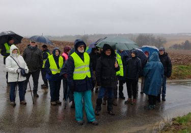 Excursión Senderismo Tubize - Promenade Piedescaus à Tubize - Photo