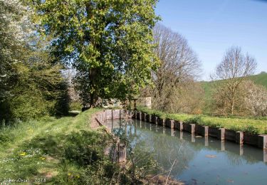 Randonnée Marche Cour-Maugis sur Huisne - Le Bois de Sublaine 6.2 Km - Photo