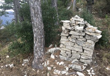 Tour Wandern Soubès - Soubes - Mas Rouquet - Photo