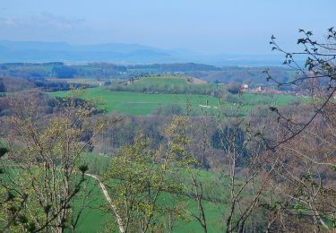 Percorso A piedi Schwäbisch Gmünd - Glaubensweg 8 - Photo