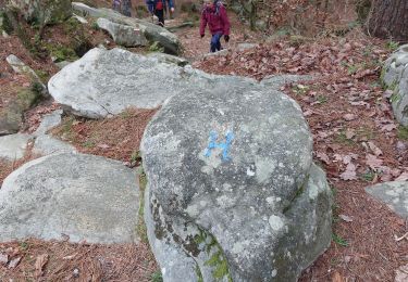 Tour Wandern Fontainebleau - Bas Breau  - Photo