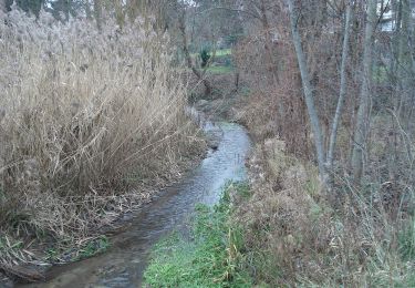 Trail On foot Karlstein am Main - Kulturweg Karlstein - Photo