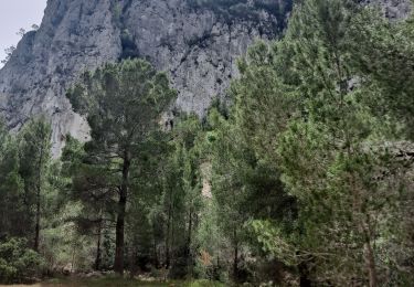 Trail Walking Calp - Sierra de Olta - Photo