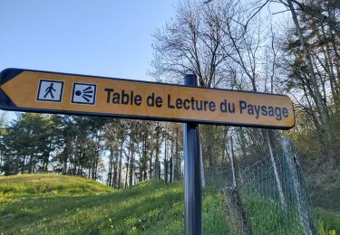 Excursión Senderismo Pollionnay - Larny, en face de Sourcier, Croix du Ban - Photo