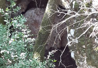 Randonnée Marche Méjannes-le-Clap - grottes sans pneu - Photo