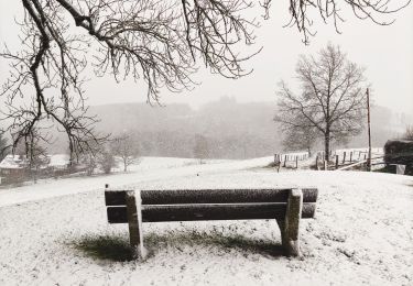 Randonnée Marche Lierneux - Promenade sur les hauteurs enneigées de Lierneux  - Photo