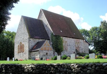 Tour Zu Fuß Thelkow - Zarnewanz-Thelkow - Photo