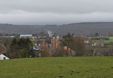 Tocht Stappen Theux - 20201203 - Jonckeu 4.1 Km - Photo