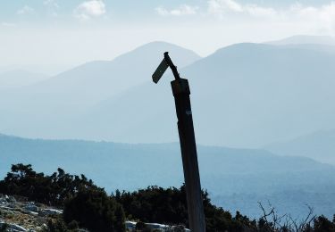 Tour Wandern Plan-d'Aups-Sainte-Baume - la sainte baume - Photo