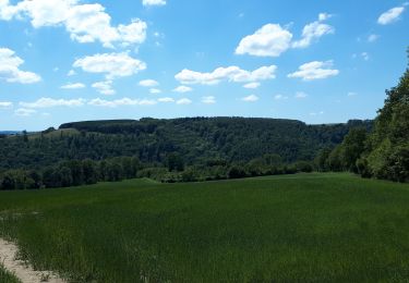 Trail Walking Durbuy - Jenneret-Ouffet - Photo